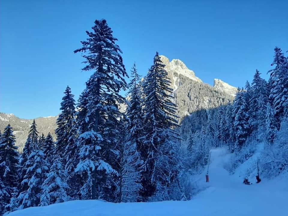 Chalet Tante Emma Vacheresse Eksteriør bilde