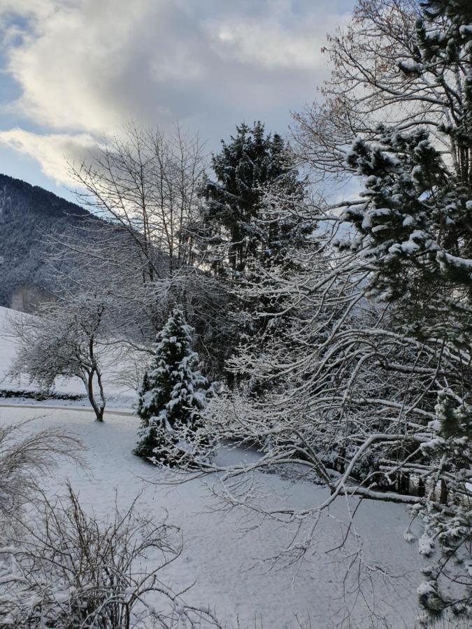 Chalet Tante Emma Vacheresse Eksteriør bilde