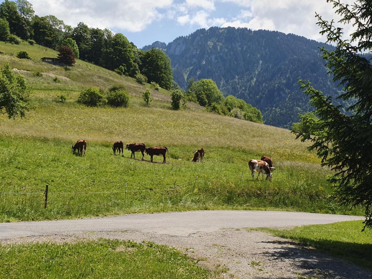 Chalet Tante Emma Vacheresse Eksteriør bilde